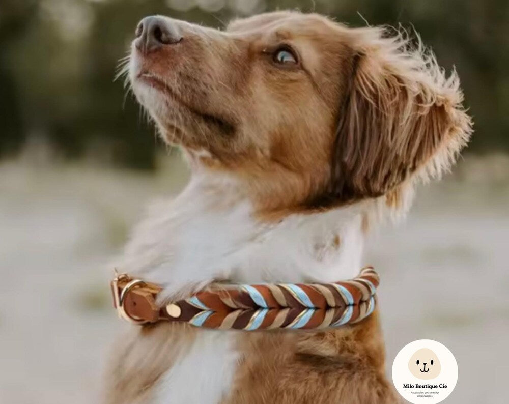 Genuine Leather Dog Collar – Soft, Lightweight & Elegant