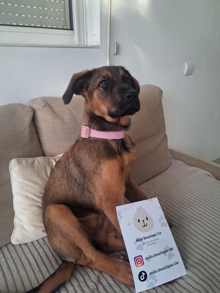 Collier Pendentif Fleurs Personnalisable – Bijou Élégant & Chic