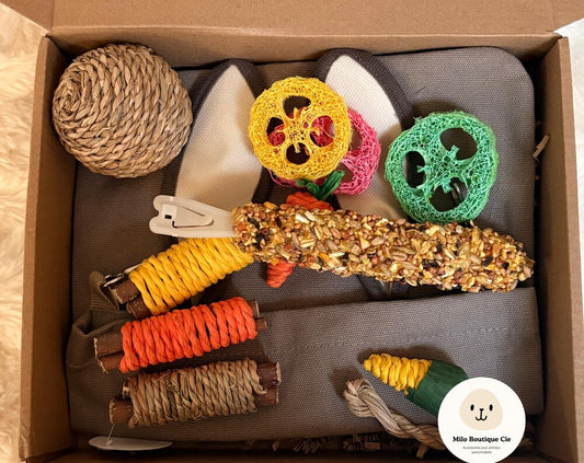 Surprise Box for Rodents, Games and Treats