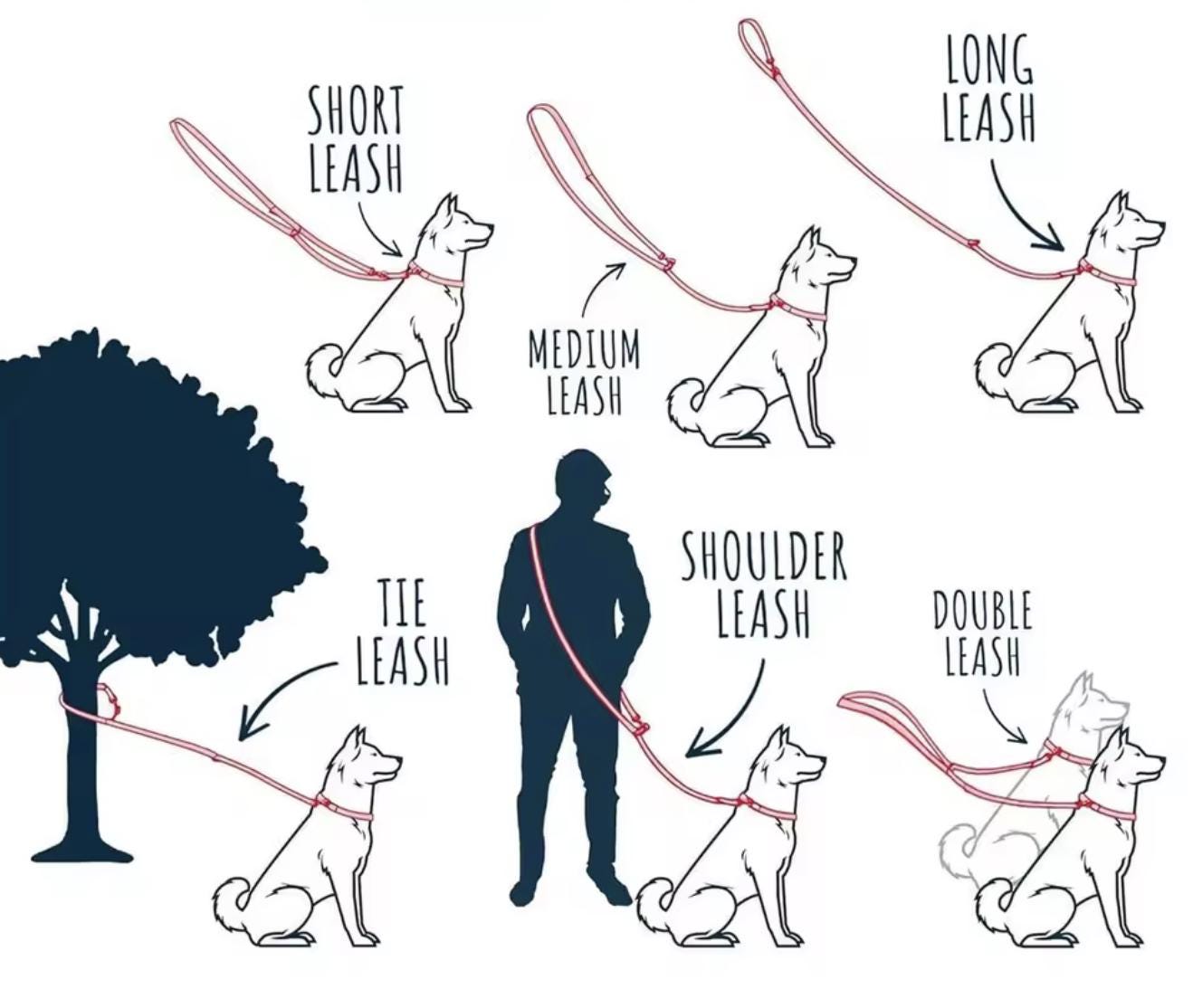 Laisse Chien en Cuir Véritable – Laisse Solide et Élégante