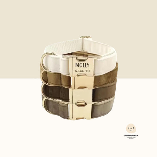 Colliers pour Chiens et Chats avec Gravure – Personnalisés et Élégants