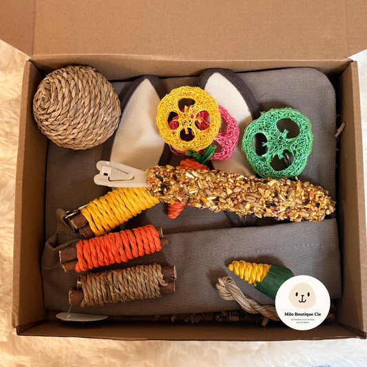 Box Surprise pour Rongeurs, Jeux et Gourmandises