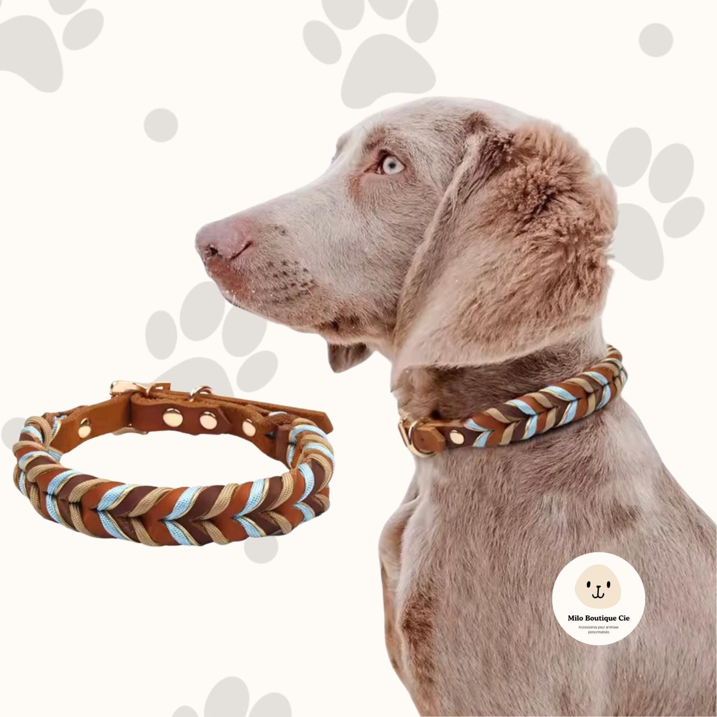 Collier en Cuir Véritable pour Chien – Doux, Léger & Élégant