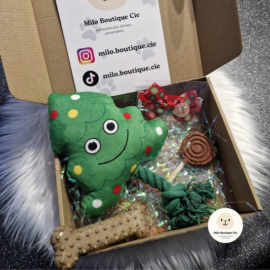 Box de Noël pour chien ou chat (5 cadeaux aléatoire, jouets, friandises, accessoire)
