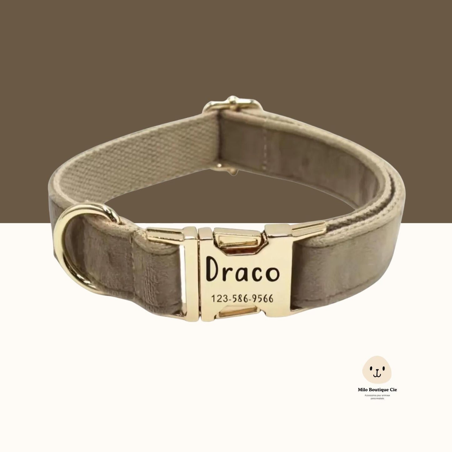 Colliers pour Chiens et Chats avec Gravure – Personnalisés et Élégants