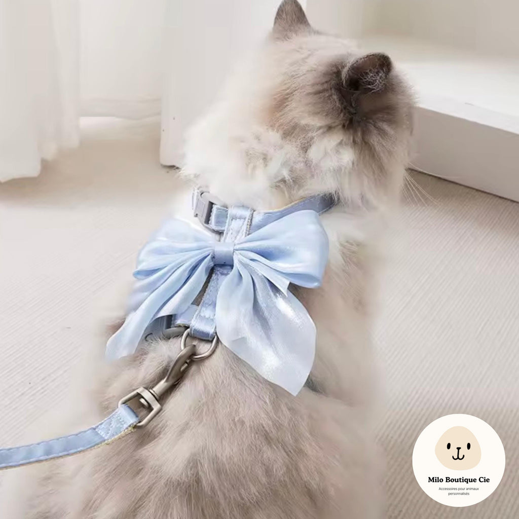 Harnais Réglable pour Chat, Lapin et Chiot – avec Laisse Assortie