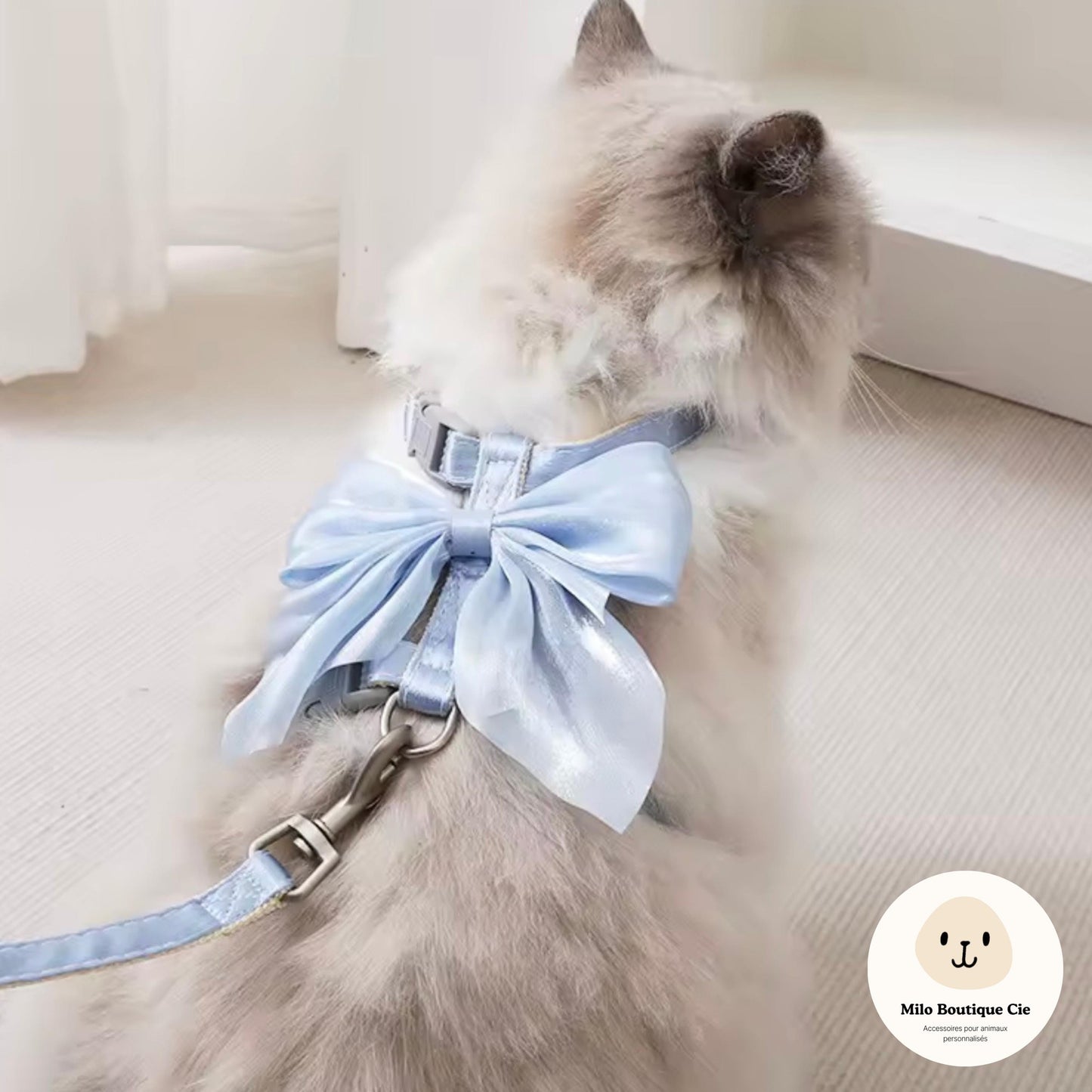 Harnais réglable pour animaux de compagnie pour chaton chiot lapin chat harnais laisse chat harnais laisse pour marche