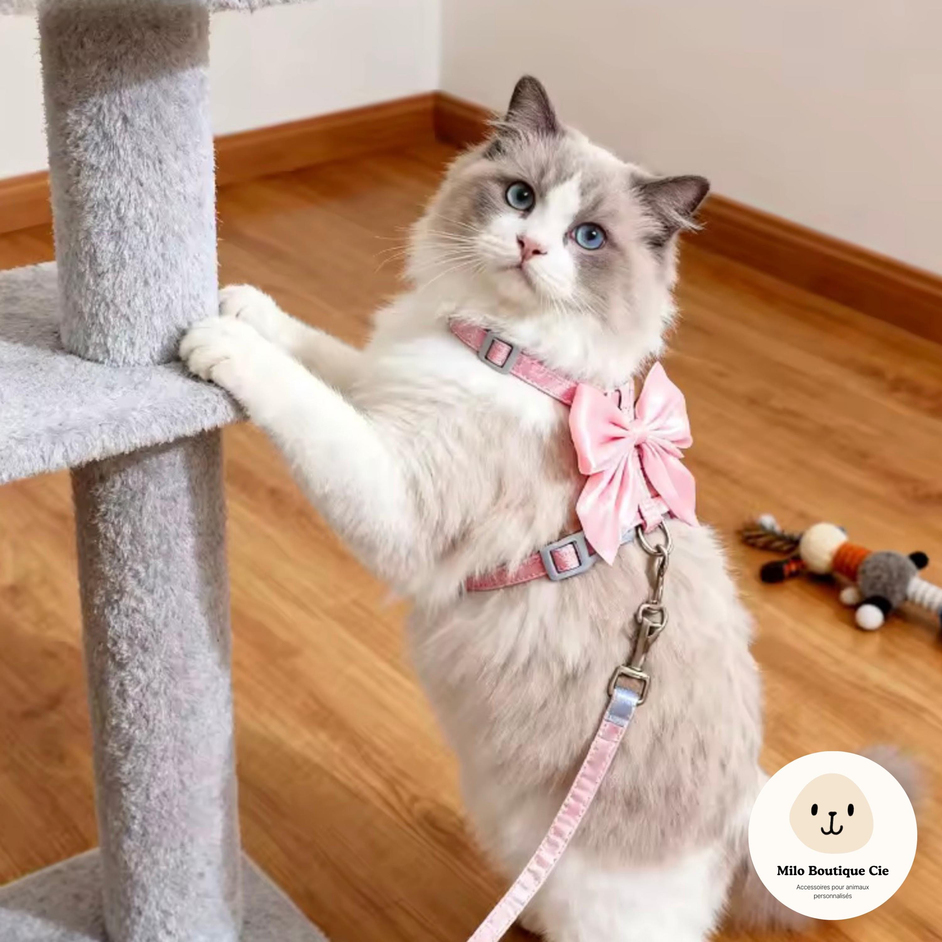 Harnais Réglable pour Chat, Lapin et Chiot – avec Laisse Assortie