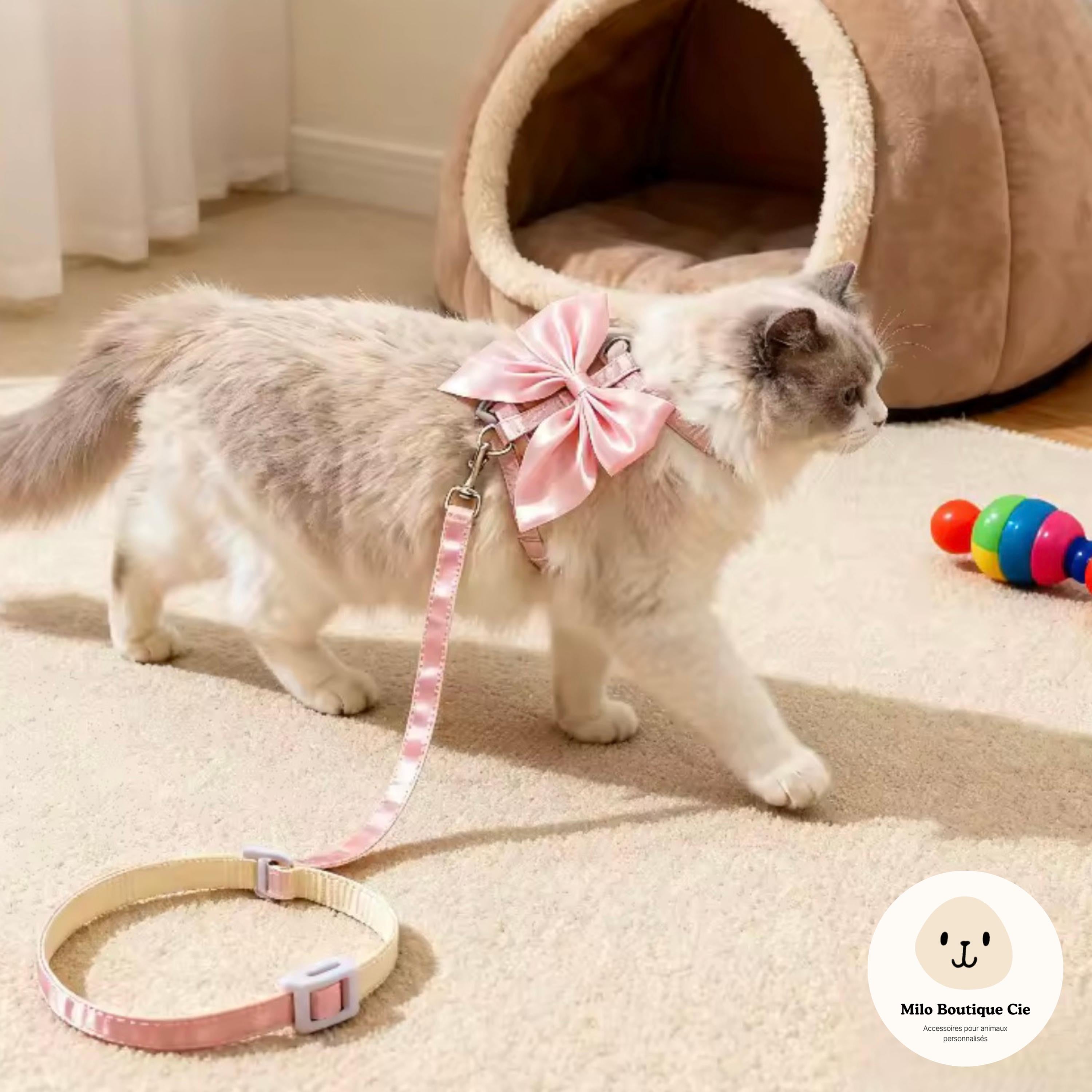 Harnais Réglable pour Chat, Lapin et Chiot – avec Laisse Assortie