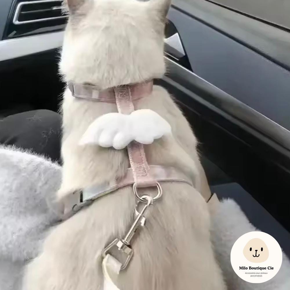 Harnais pour Chat Mignon avec Laisse – Confortable et Réglable