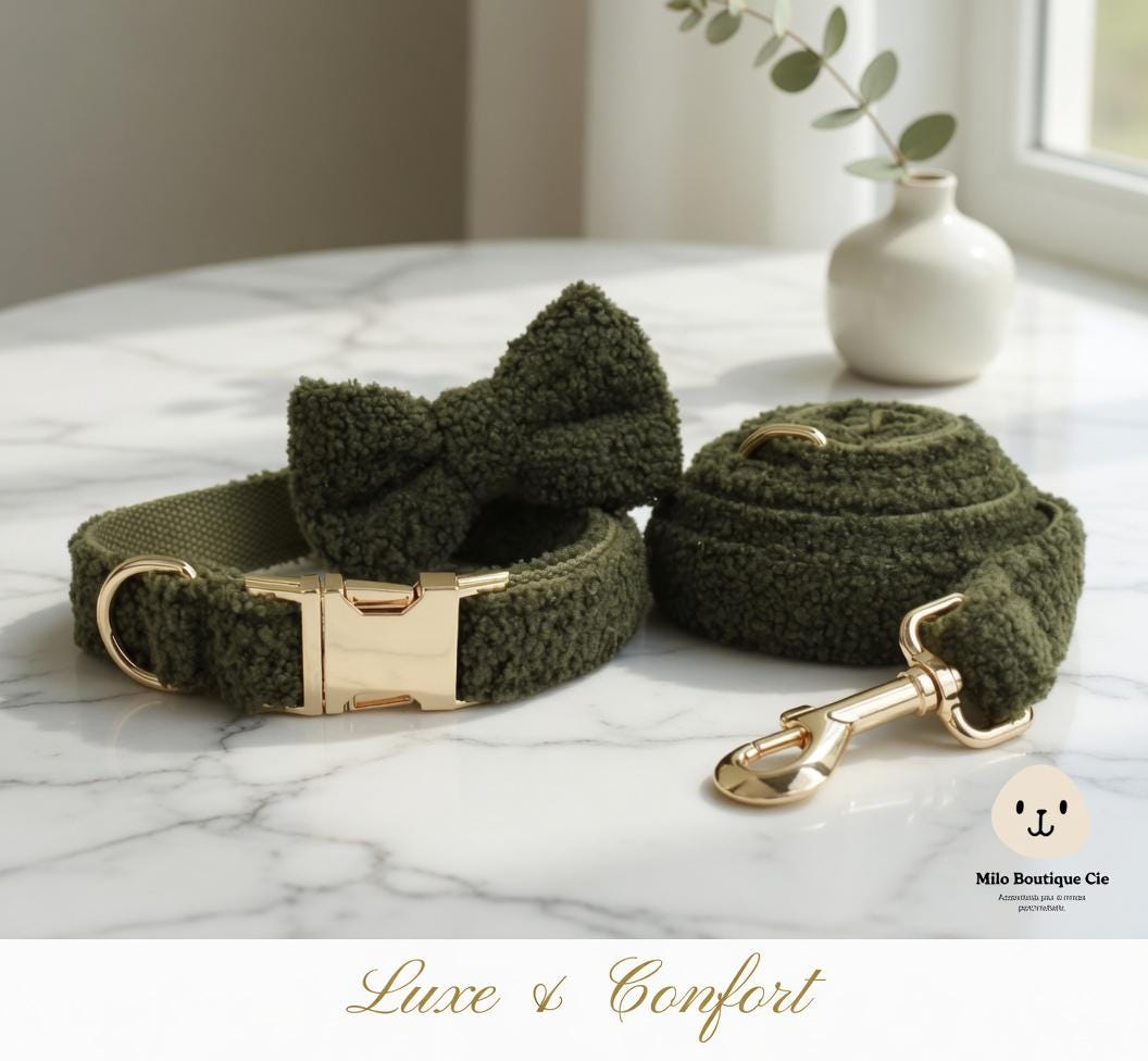 Collier Chien avec Nœud Personnalisable – Style Coordonné et Confortable