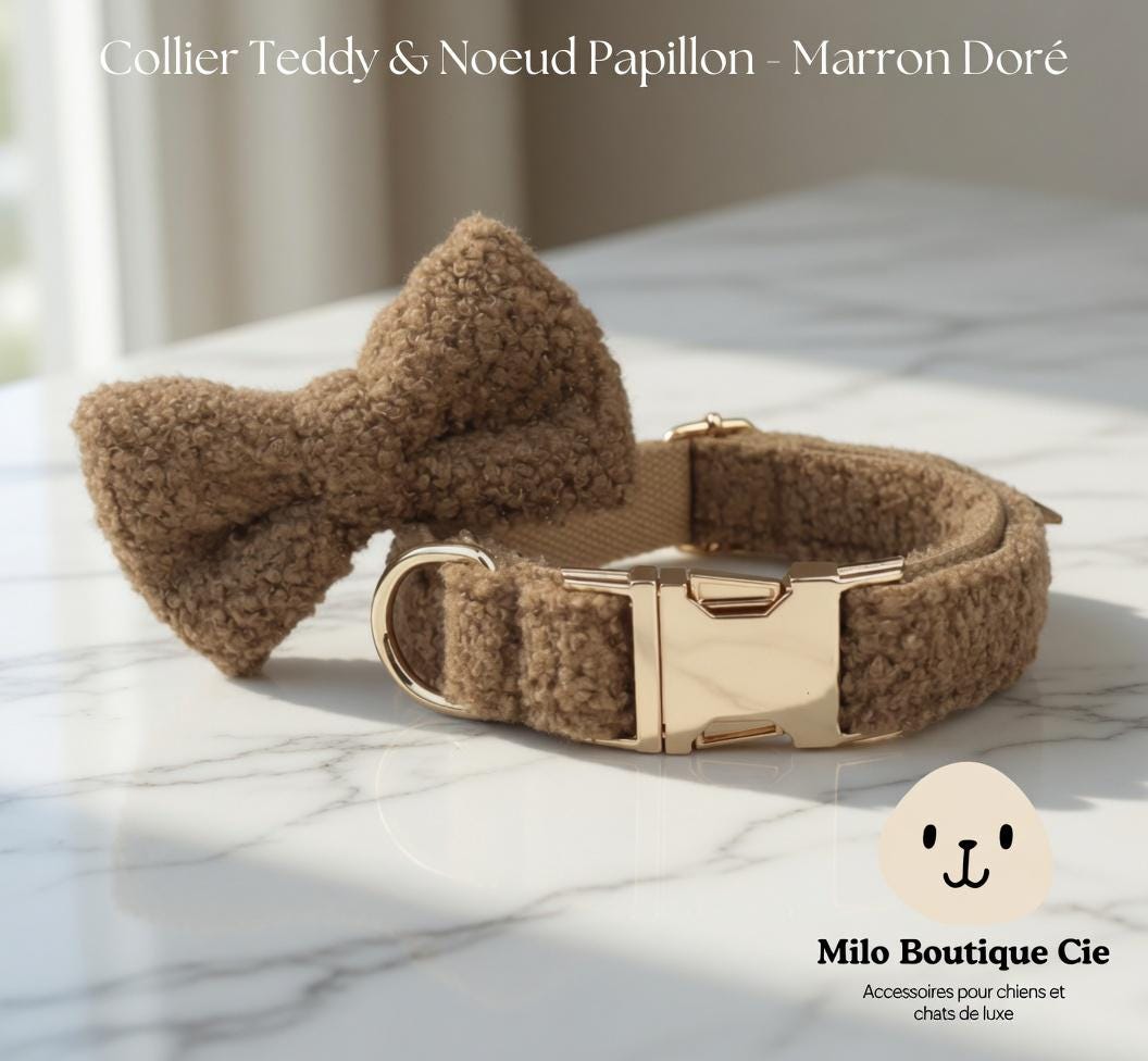 Collier Chien avec Nœud Personnalisable – Style Coordonné et Confortable