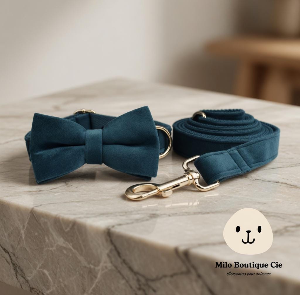 Ensemble Collier et Laisse Chien Velours Doré – Réglable et Élégant