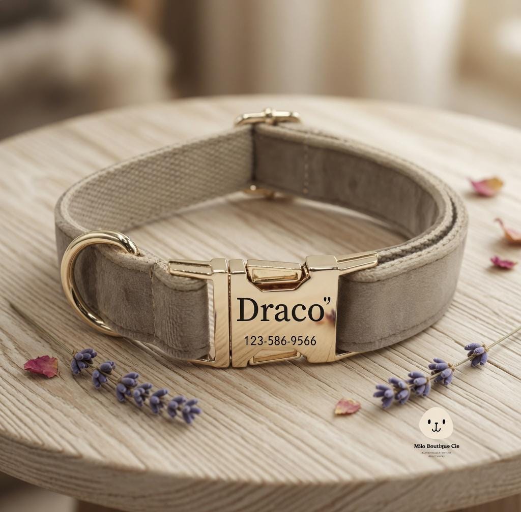 Collier gravé personnalisé pour chien et chat - vue 3