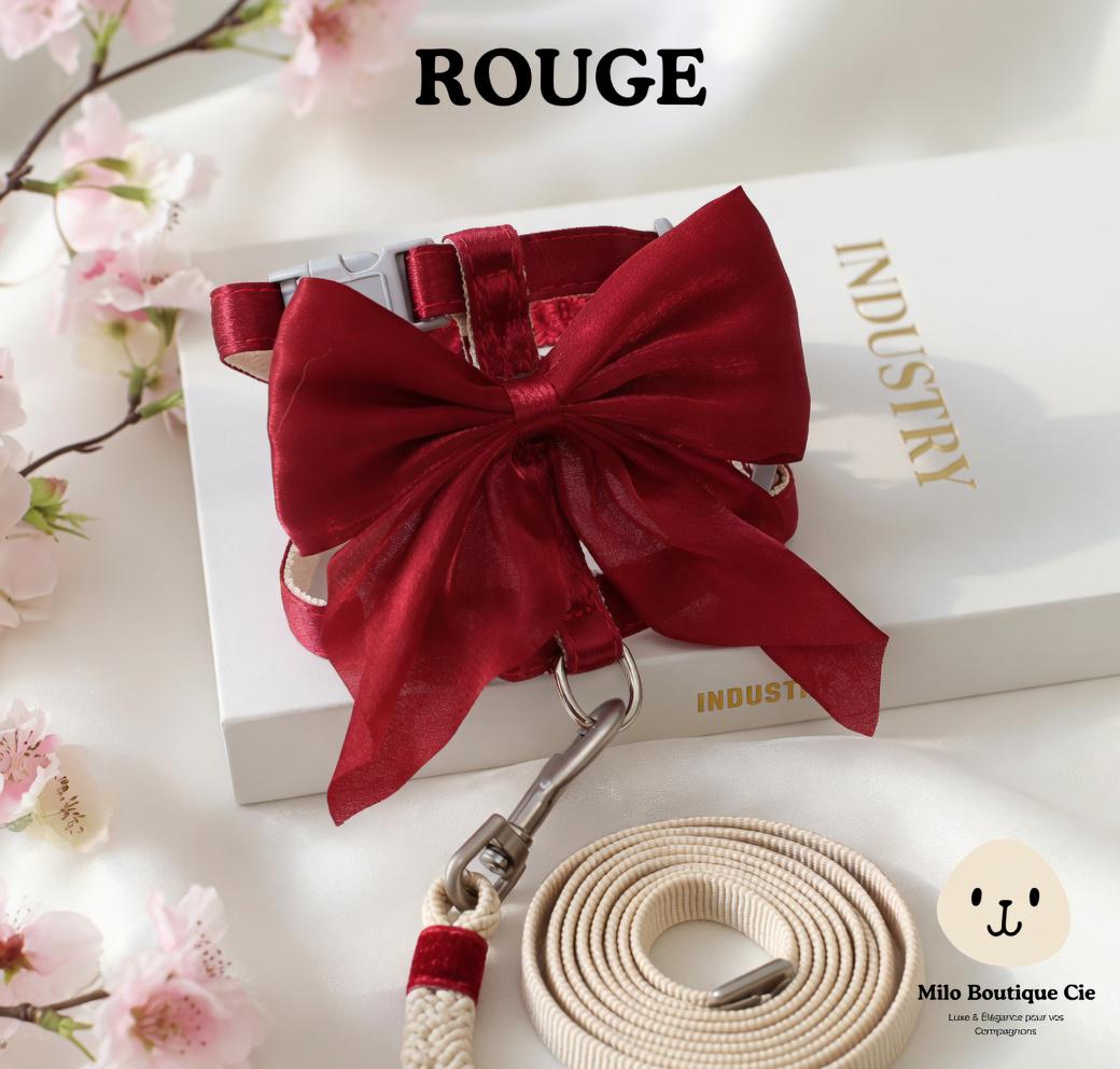 Harnais Réglable pour Chat, Lapin et Chiot – avec Laisse Assortie