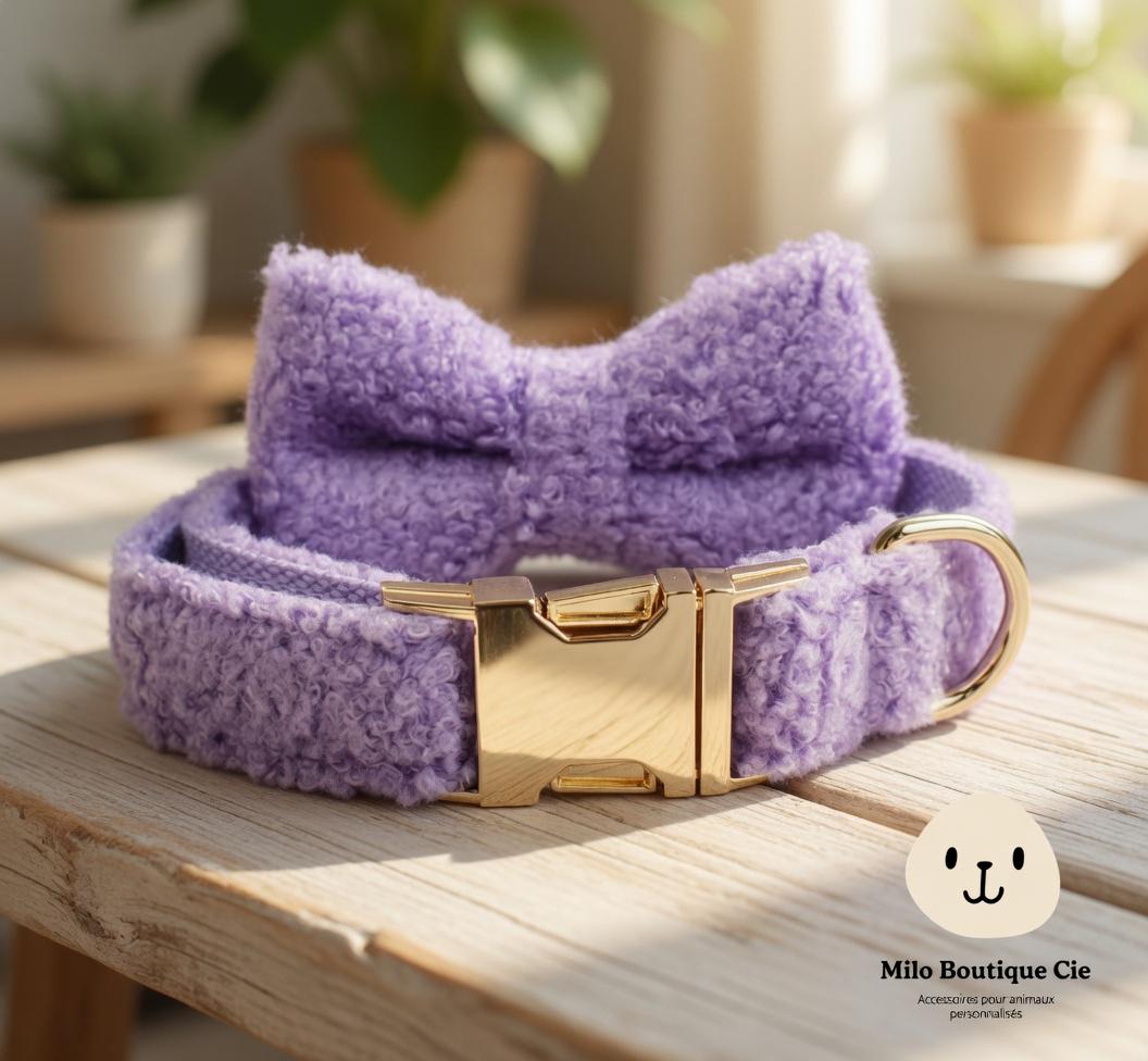 Collier Chien avec Nœud Personnalisable – Style Coordonné et Confortable