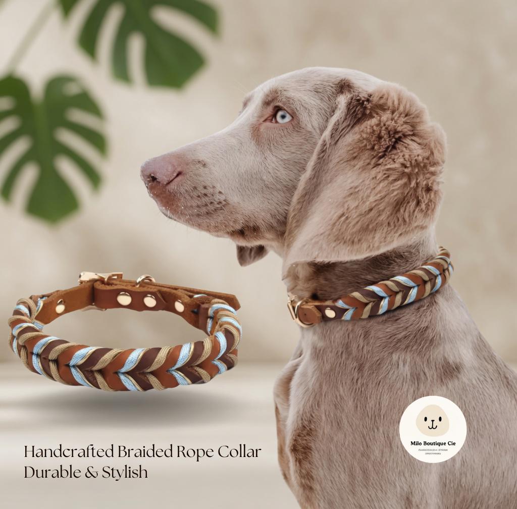 Collier Cuir Véritable pour Chien – Collier Chien Confortable et Élégant