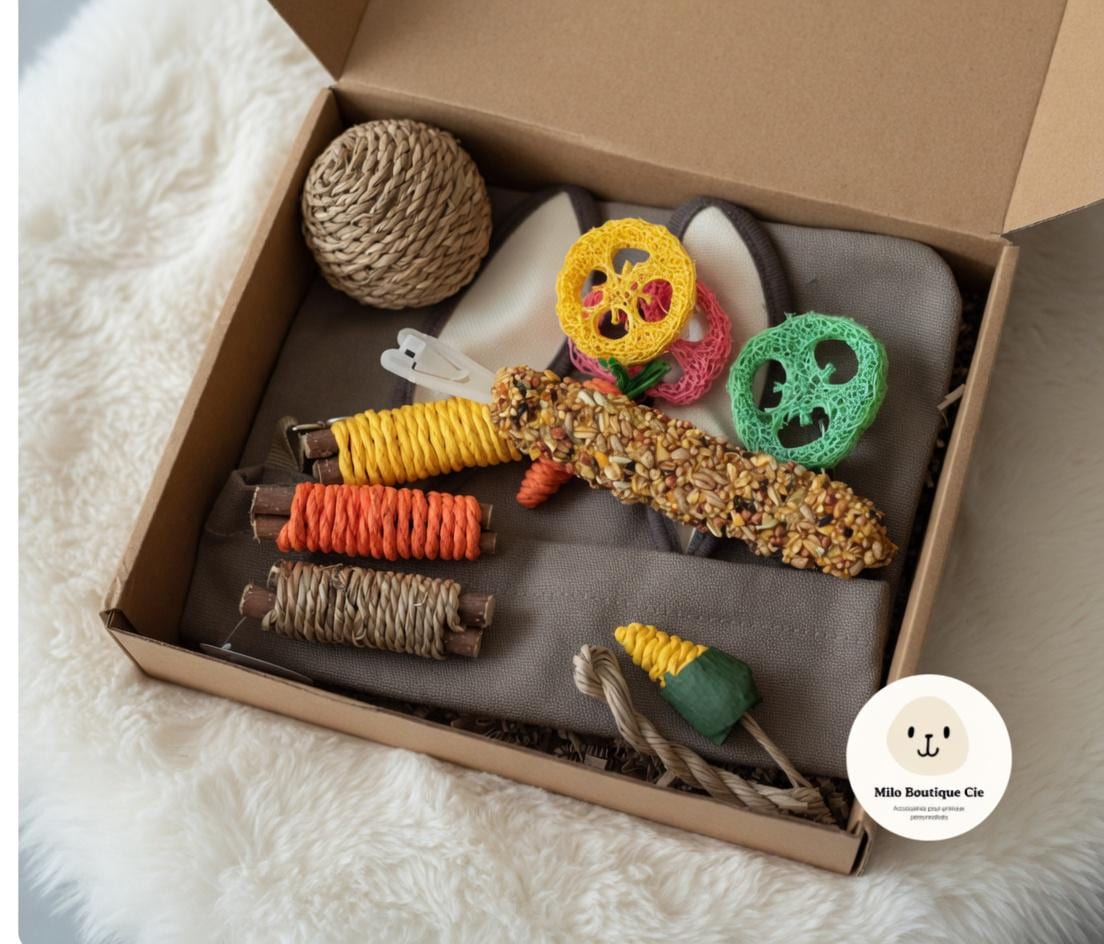 Box Surprise pour Rongeurs – Jeux et Gourmandises Mensuelles