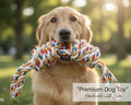 Jouet à Mâcher Corde Chien 45cm – Nettoyage Dents et Hygiène Dentaire